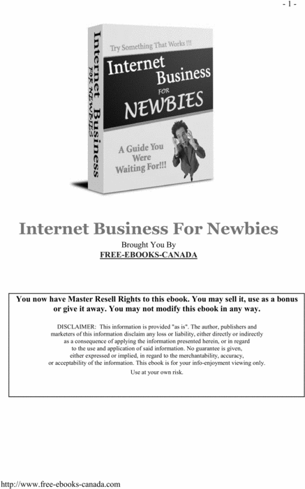 Product picture Internet Business For Newbies